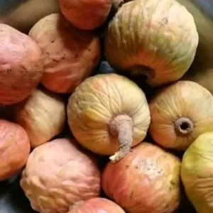 আতা ফল । ২ কেজি