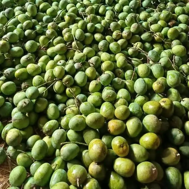 Mango-2.webp