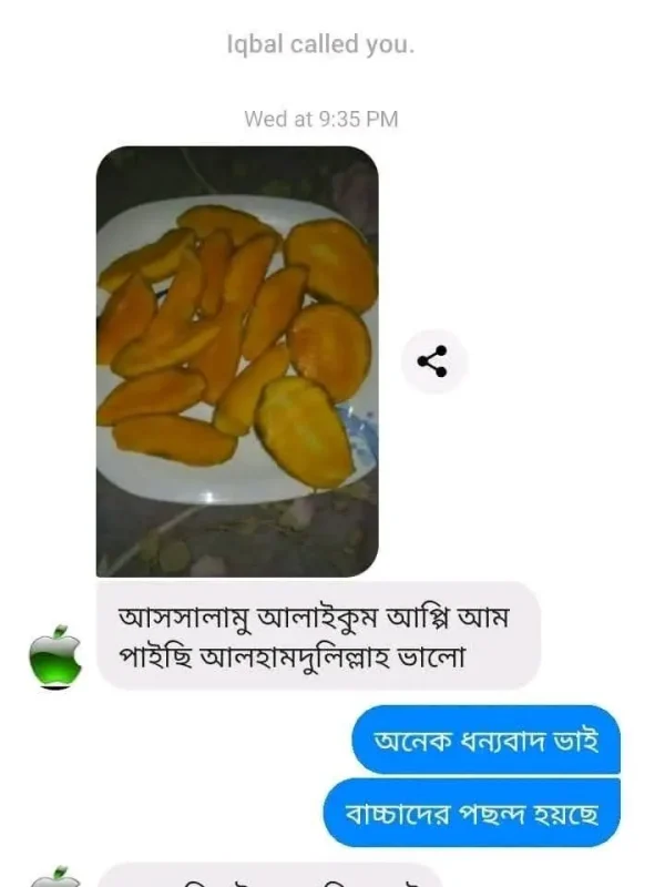 mango-rv-1.webp