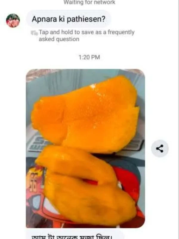 mango-rv-10.webp