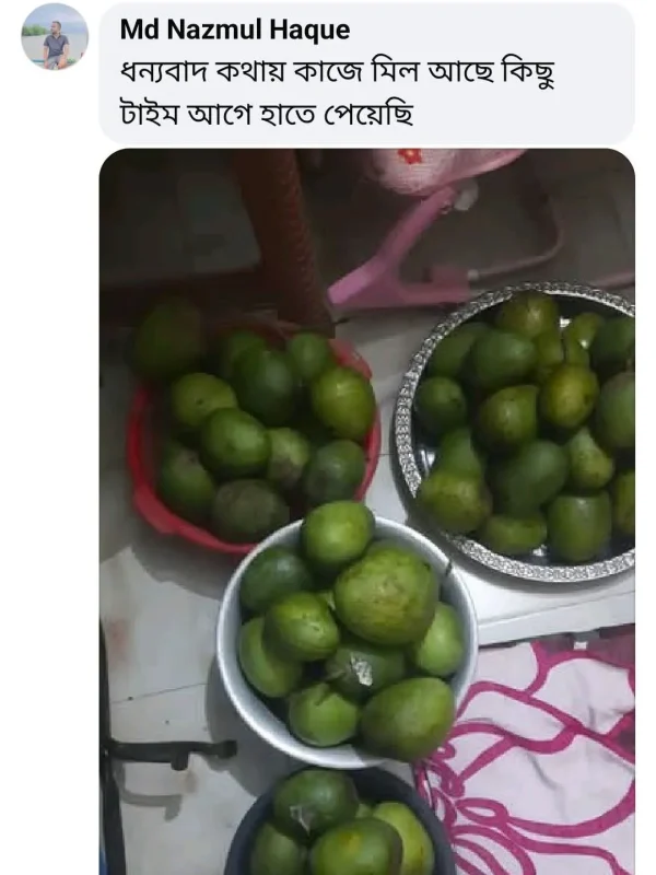 mango-rv-11.webp