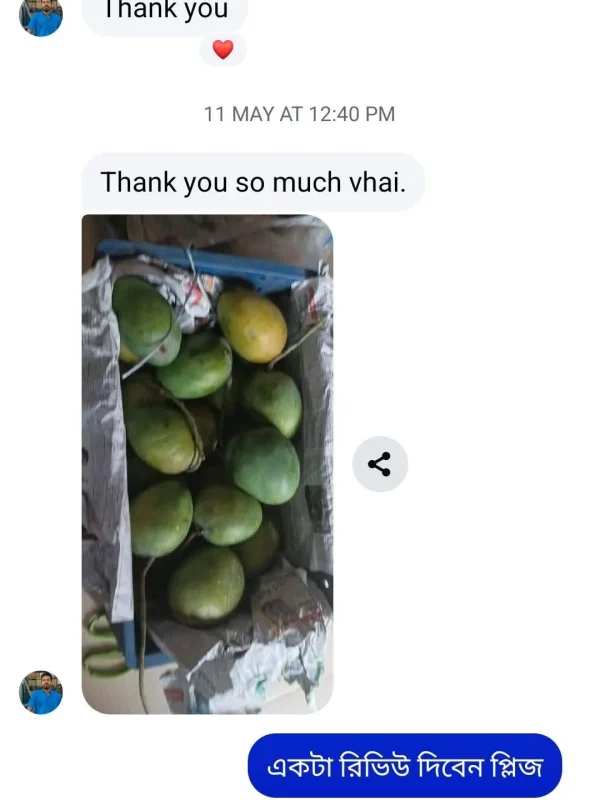 mango-rv-15.webp