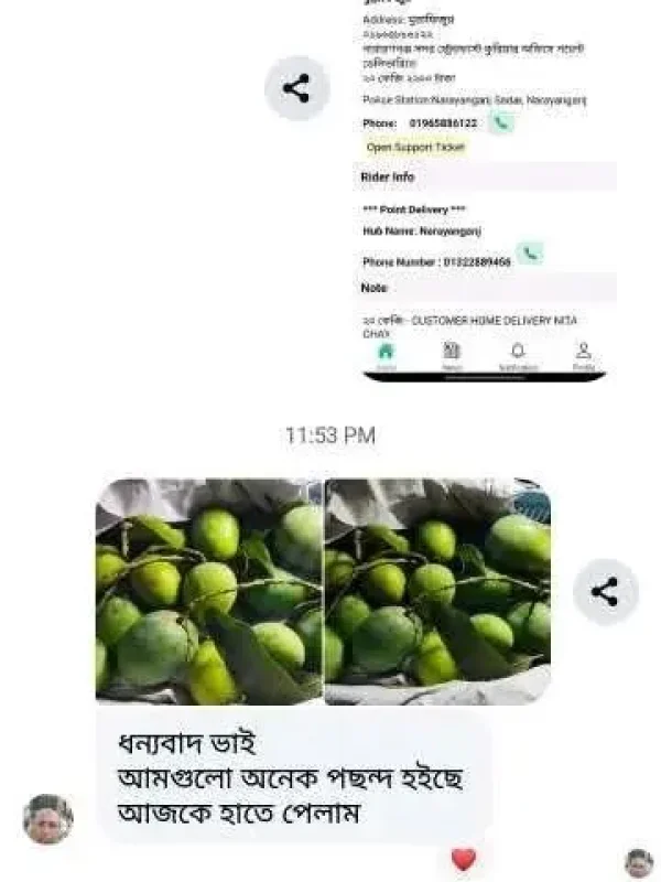 mango-rv-17.webp