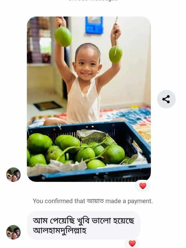 mango-rv-19.webp