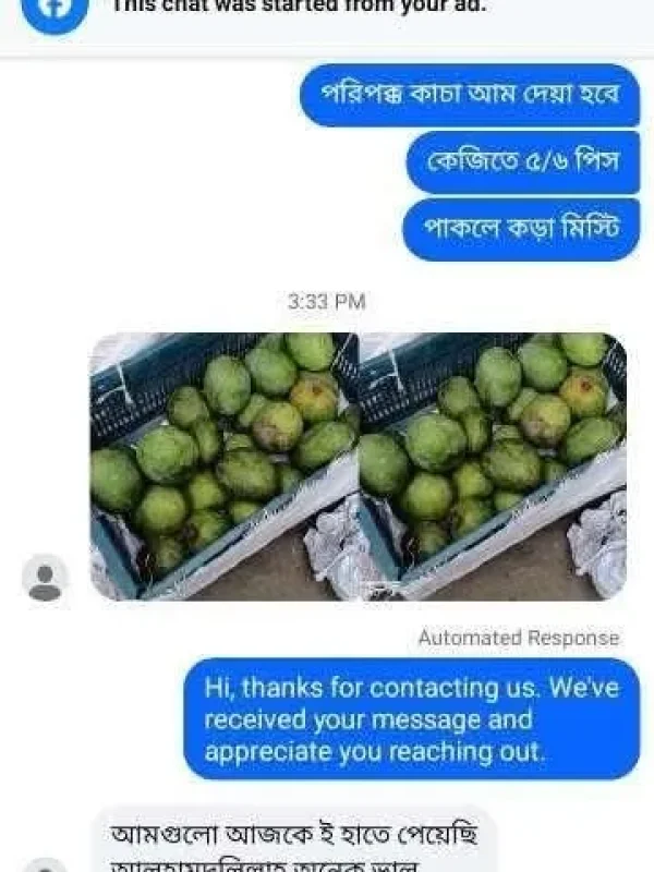 mango-rv-21.webp