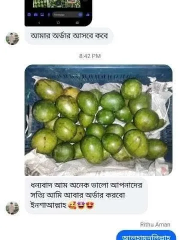 mango-rv-22.webp