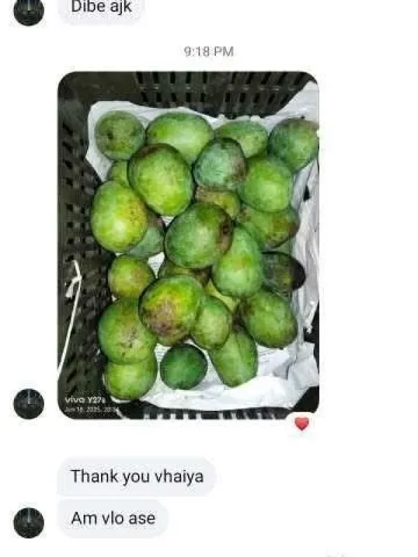 mango-rv-23.webp