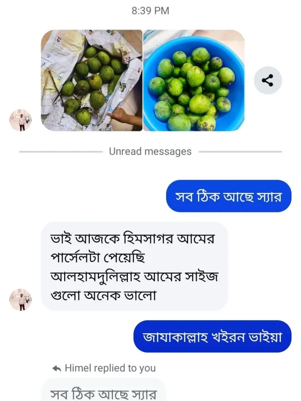 mango-rv-24.webp