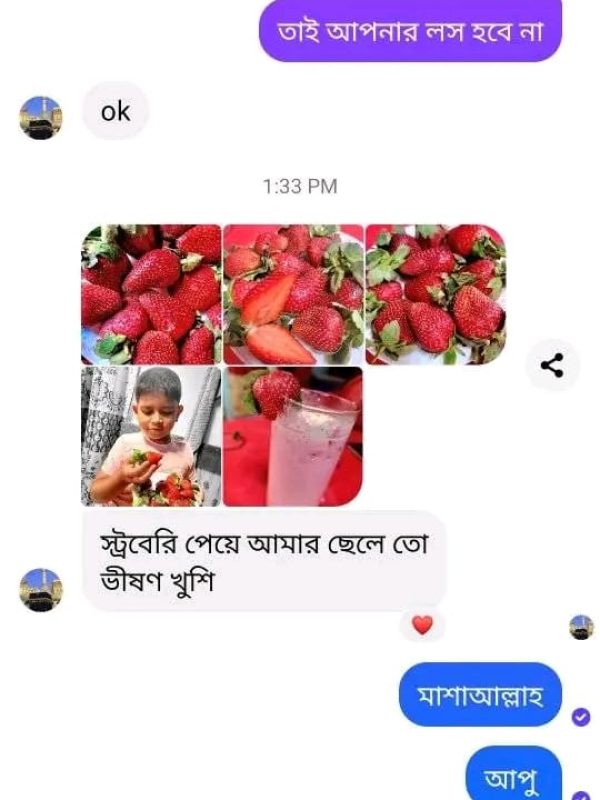 straberry rv (19)